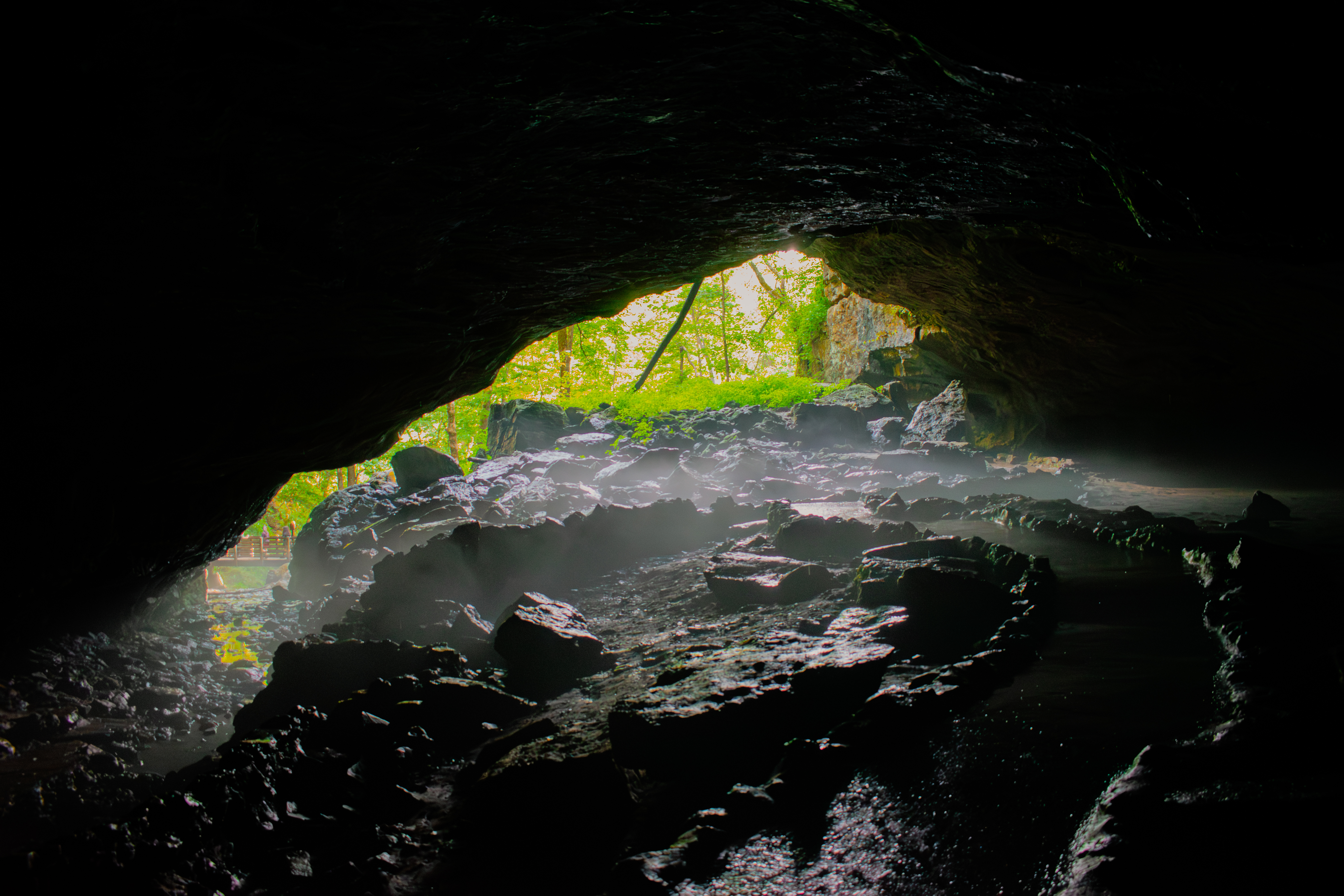 Rocky cave interior opening to bright green forest